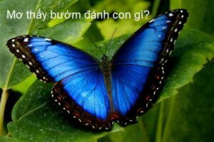 Nằm mơ thấy bướm đậu lên người điềm gì ?