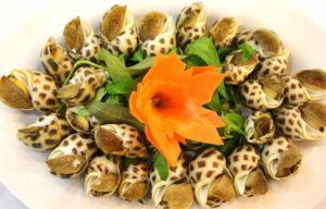 Mơ thấy ốc đánh đề con gì?